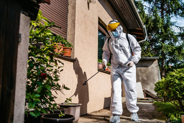 Best Pest Inspection Near Me  in Herricks, NY