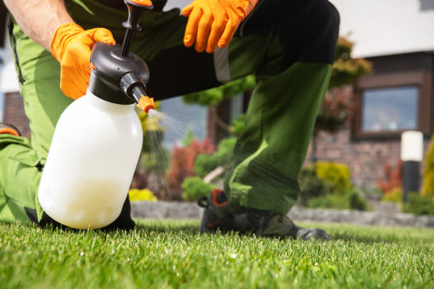 Best Termite Control Services  in Herricks, NY