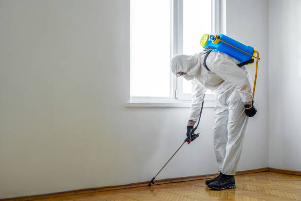 Best Wildlife Control Services  in Herricks, NY